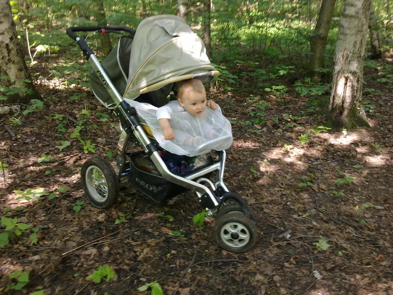 Наша колясочная история