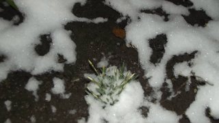 0e38550df49bb8a668a00834f2e1cca8.jpg