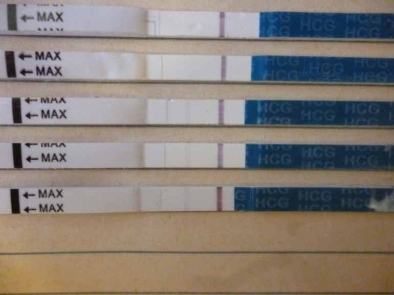 14 дпо!максимальный день Х