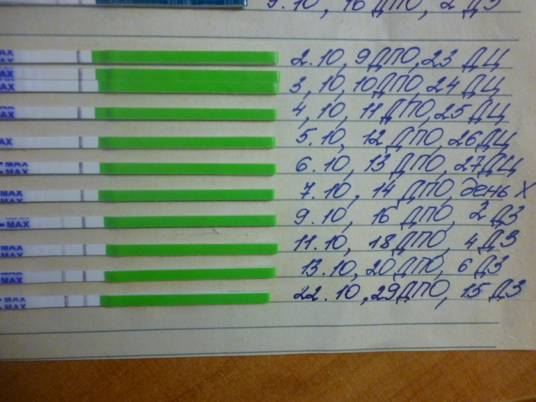 15 ДЗ или 29 ДПО