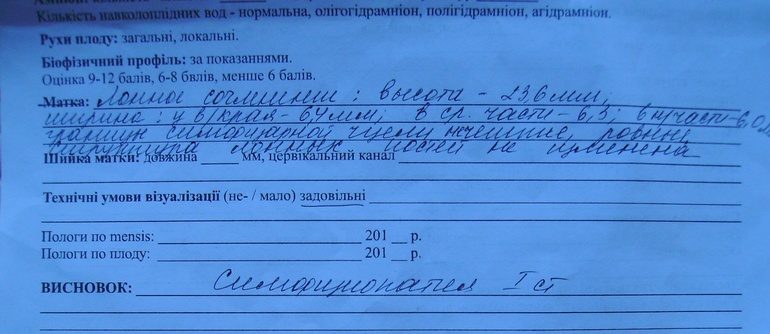 Узи лонного. Протокол УЗИ лонного сочленения у беременных. УЗИ лонного сочленения протокол УЗИ. Протокол исследования УЗИ лонного сочленения. Протокол УЗИ лонного сочленения при беременности.