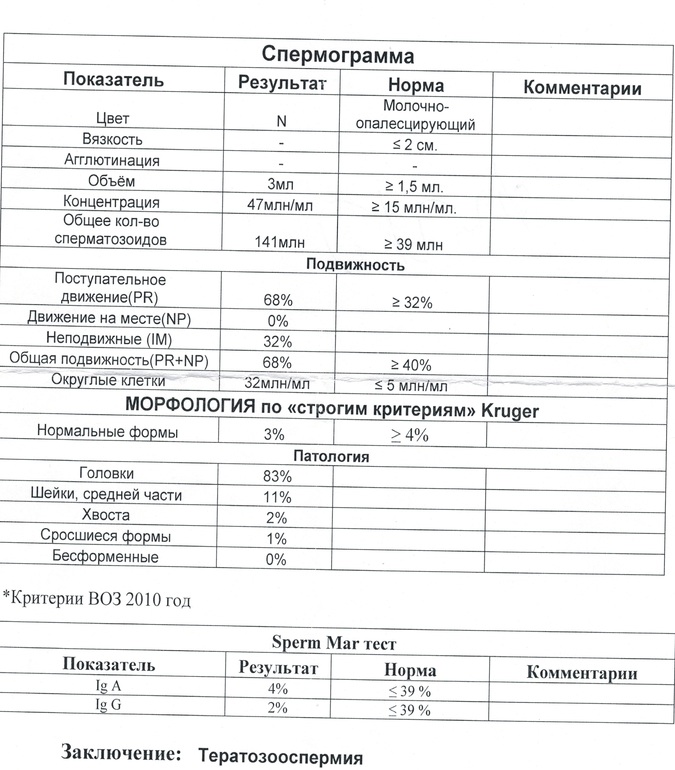 Нормальный анализ спермограммы здорового мужчины образец