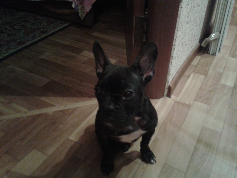 Давайте знакомиться!