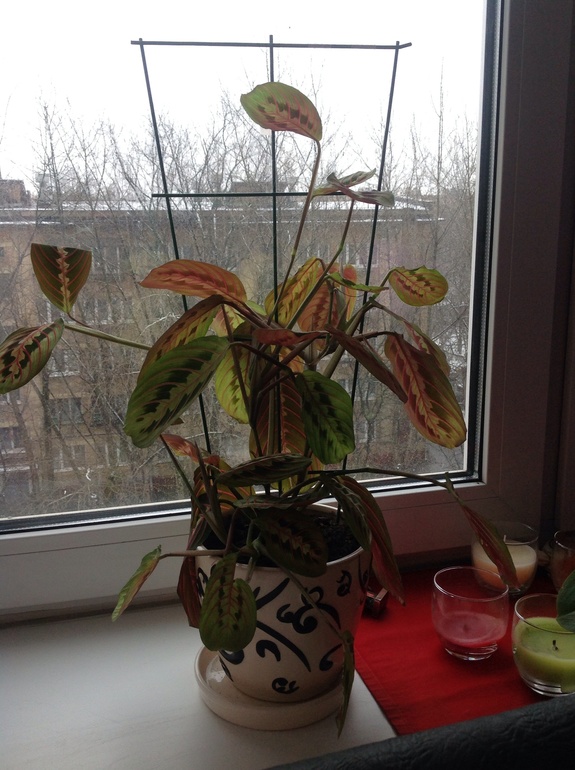 Представьтесь пожалуйста!