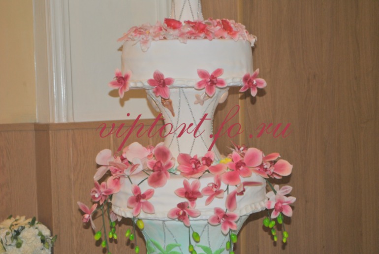 несколько новых тортиков