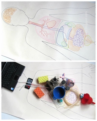 ТЗ "Внутреннее строение человека". Наглядное пособие из подручных материалов