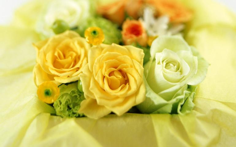 14f7815100d07d5df894a6ad648e2e0c.jpg
