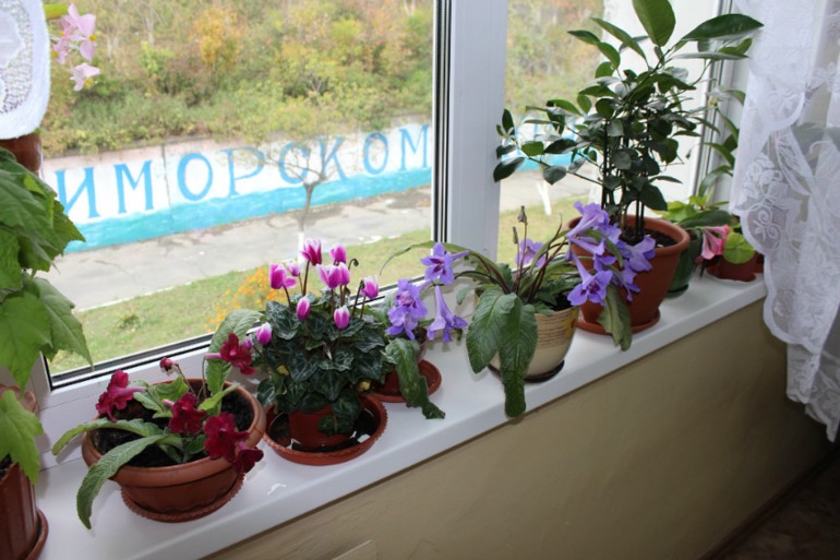 Мой мини РАЙ!