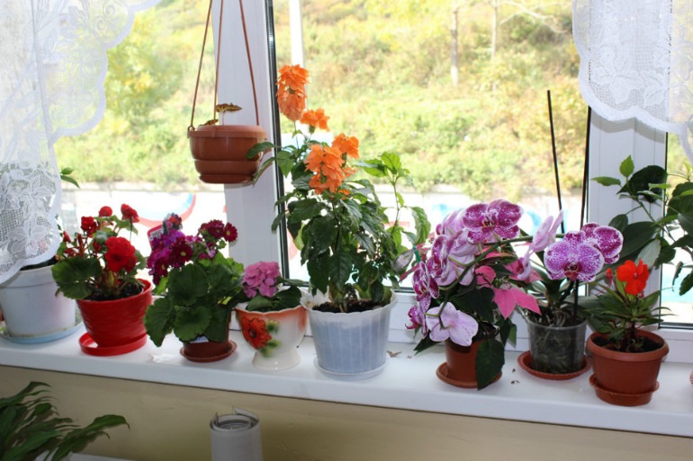 Мой мини РАЙ!