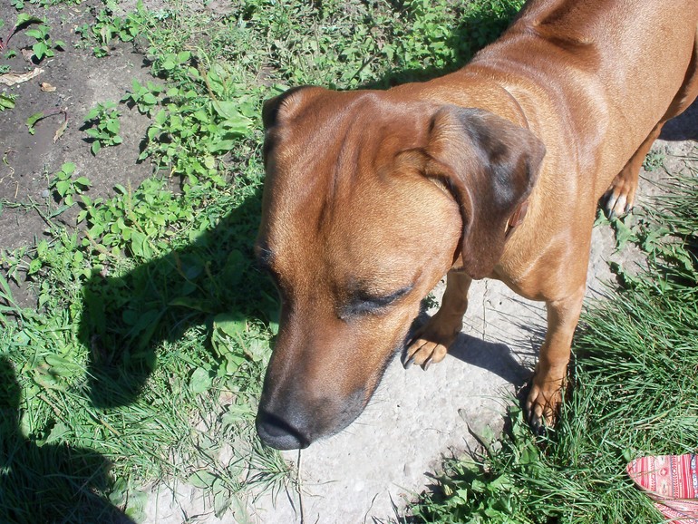 А вот и наше чудо