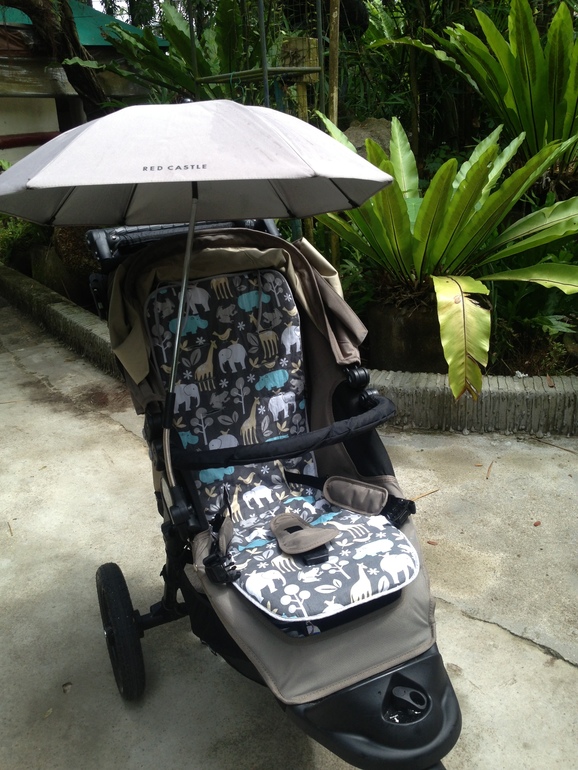 Моя коляска Baby Jogger City Elite 2012