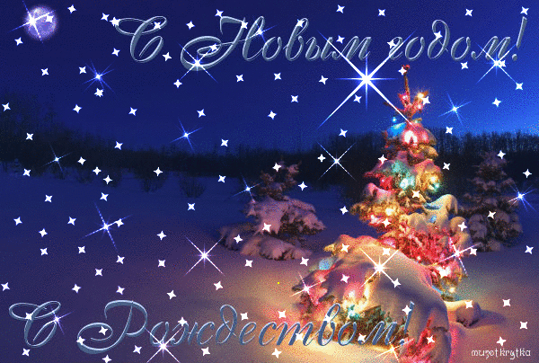 7722e7c901a84dfc150316f030759db1.gif