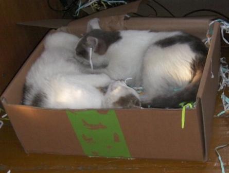 Подарок от Аиста или что было в коробочке за октябрь?