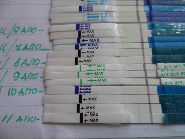 Не могу молчать!