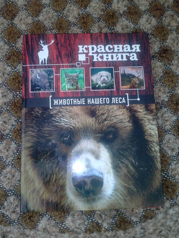 Наши новиночки