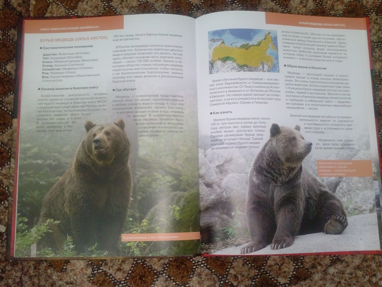 Наши новиночки