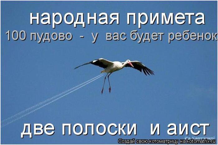 4cd97a46fe886ad82c696a7b7d7ff7c8.jpg