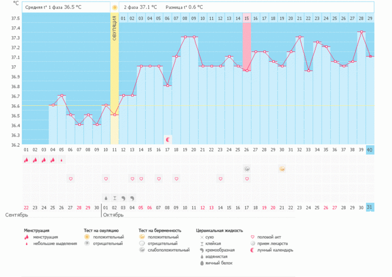 Мой Беременный график и странная БТ