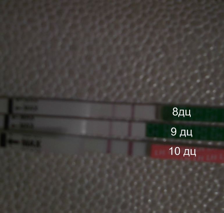 девочки,очень прошу,не проходите мимо!!!!