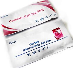 тестики на Б