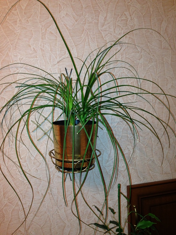 мои любимчики