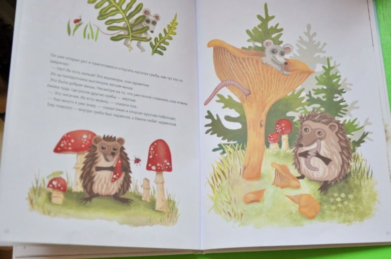 Ежик покидает дом