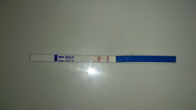 Самые яркие две полосочки!!!!