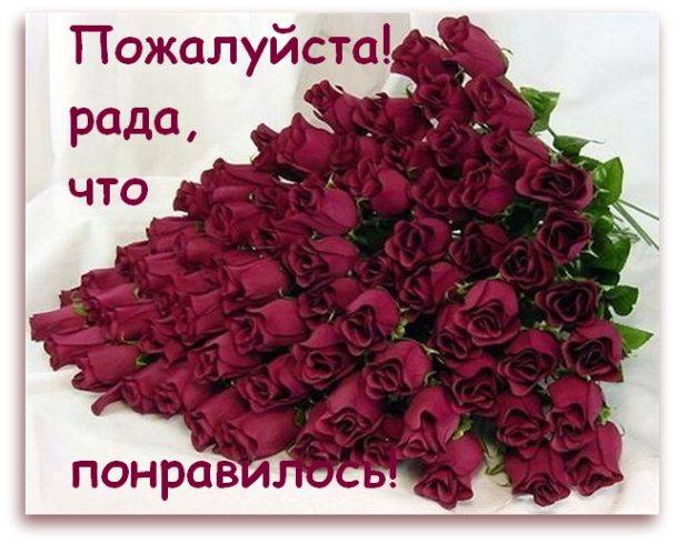 91d3bbfa6272f2afa9ea9a713fbe7852.jpg