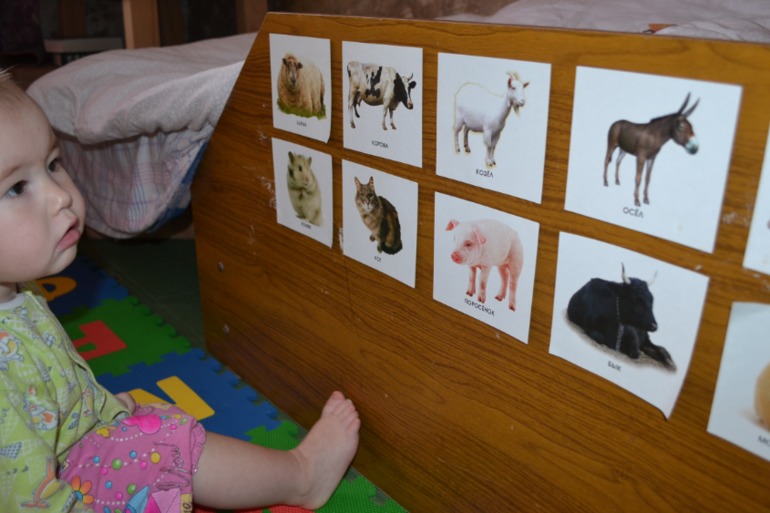 Пластилиновый день (и не только)