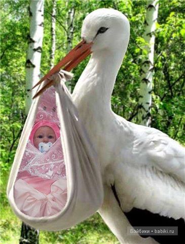А может нет, а может да....