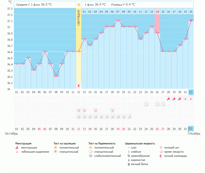 Что можете сказать?