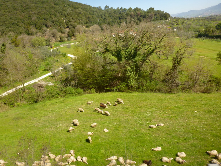 Италия. галопом по Европам. Сан-Марино, Римини, Рим, Тиволи, Неаполь-Помпеи, Сиена, Пиза, Флоренция, Венеция.