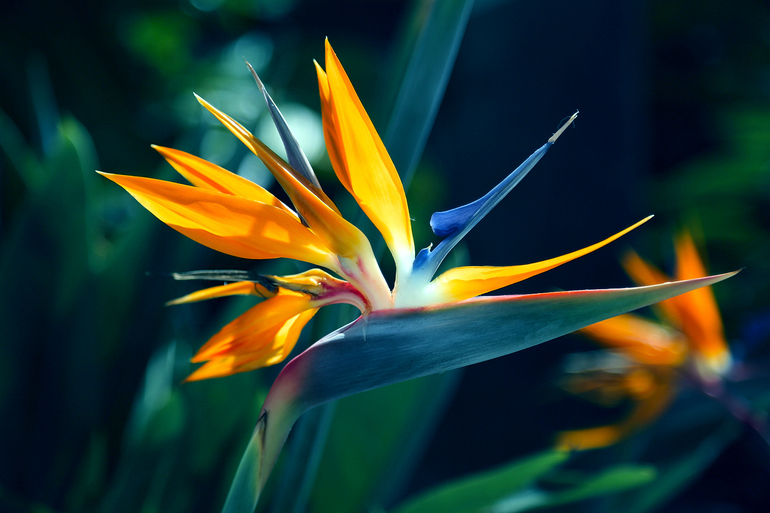 Контрольное задание № 6.