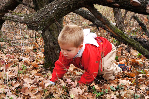Контрольное задание № 7. "Корректируем фотографию при помощи кривых"