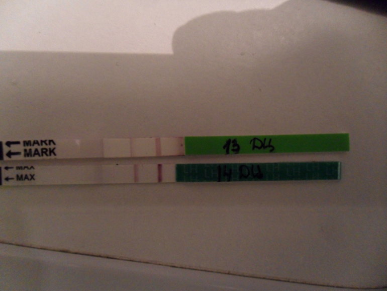 Помогите с овуляцией!!!!!!!!!!!!!