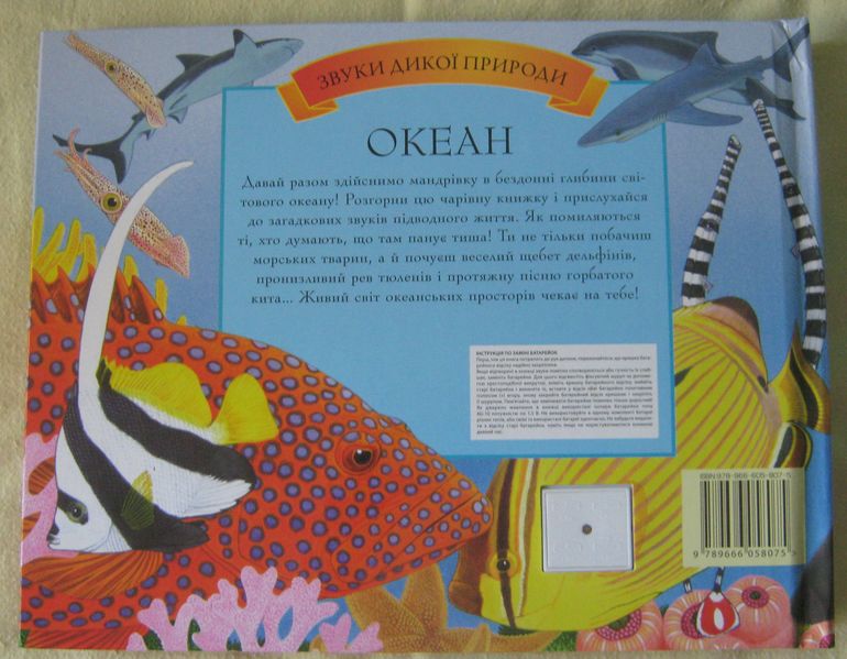 Наши книжки-картонки с сюрпризами