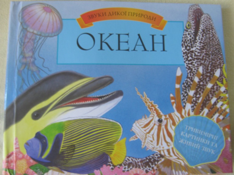 Наши книжки-картонки с сюрпризами