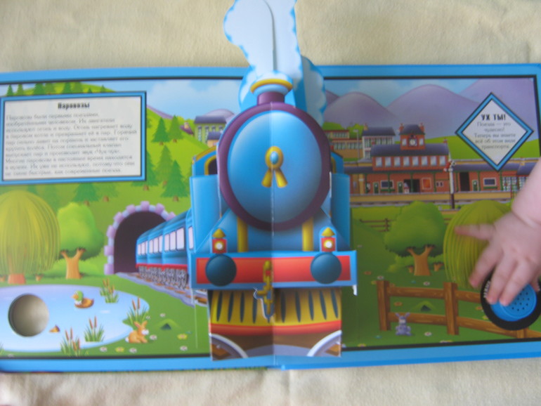 Наши книжки-картонки с сюрпризами