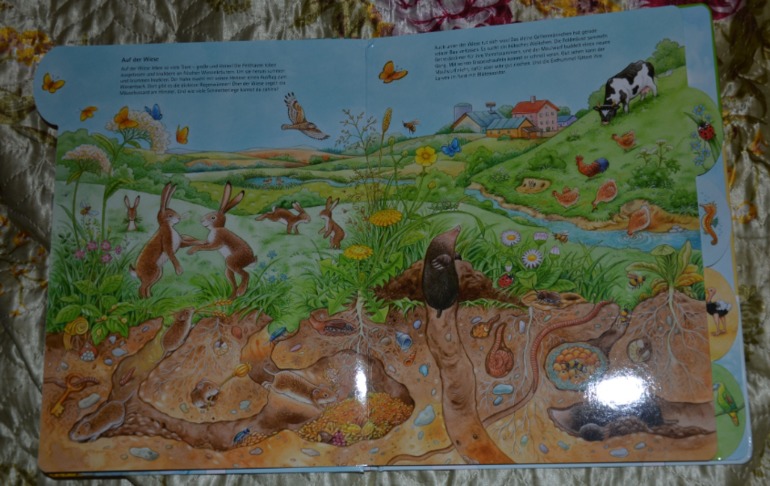 Wimmelbuch.Огромное количество фото