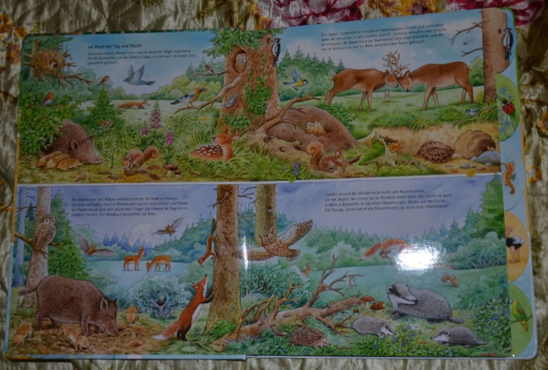 Wimmelbuch.Огромное количество фото