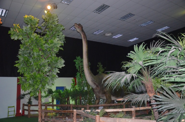 Aquis Zorbas Village и наши поездки по Криту. 2 часть