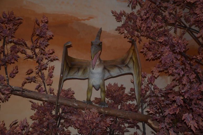 Aquis Zorbas Village и наши поездки по Криту. 2 часть