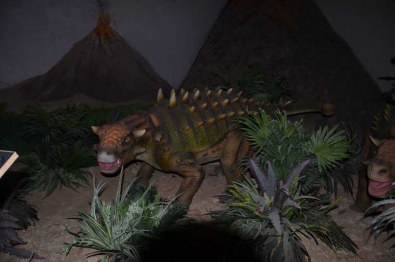 Aquis Zorbas Village и наши поездки по Криту. 2 часть