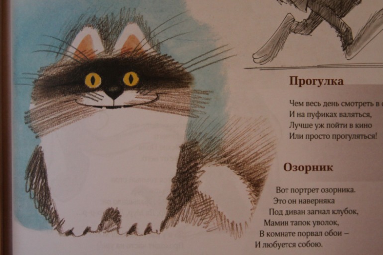 Полное собрание котов