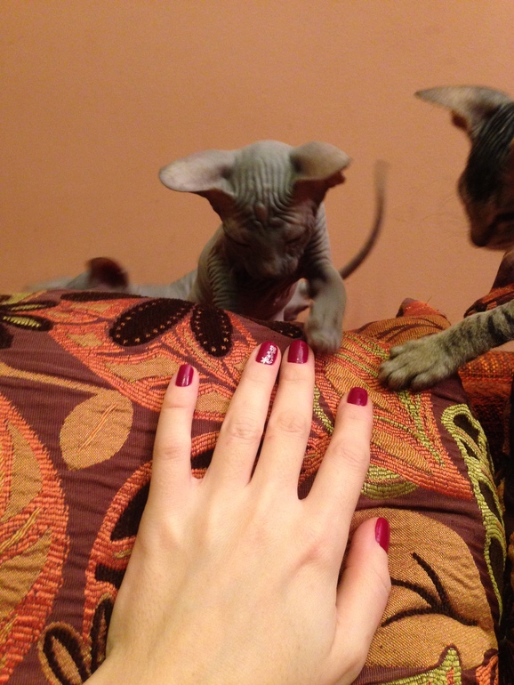 Про наших ушастых деток!)