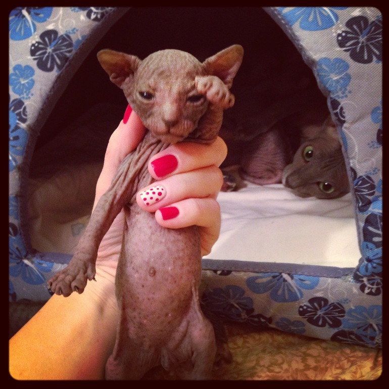 Мой дет.сад))))