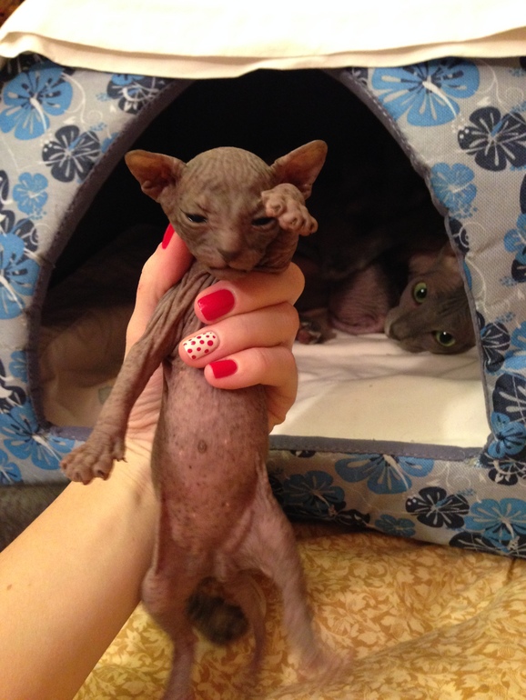 Мой дет.сад))))