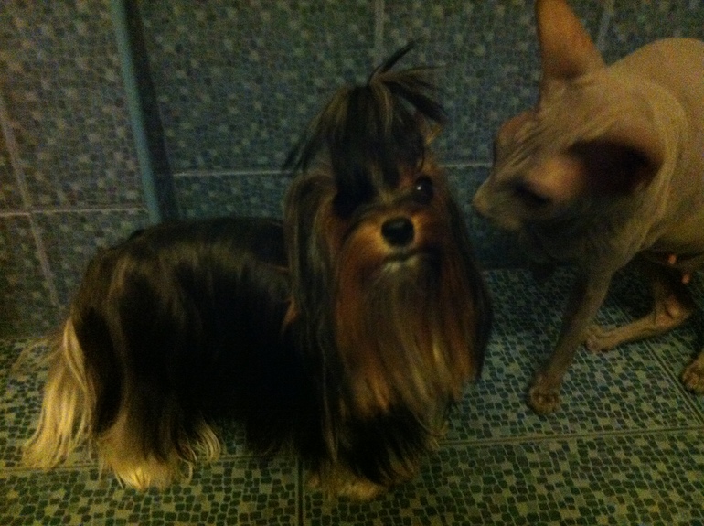 Мои малышка!)