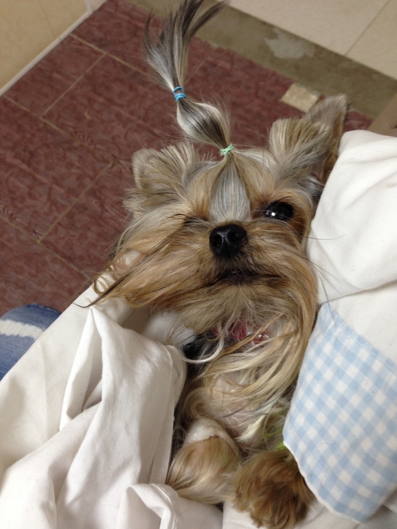 Куськины дела!