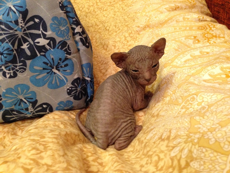 Мой дет.сад))))